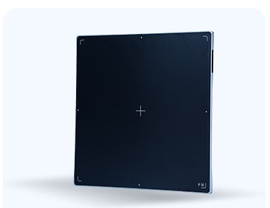 EVS 4343 WP